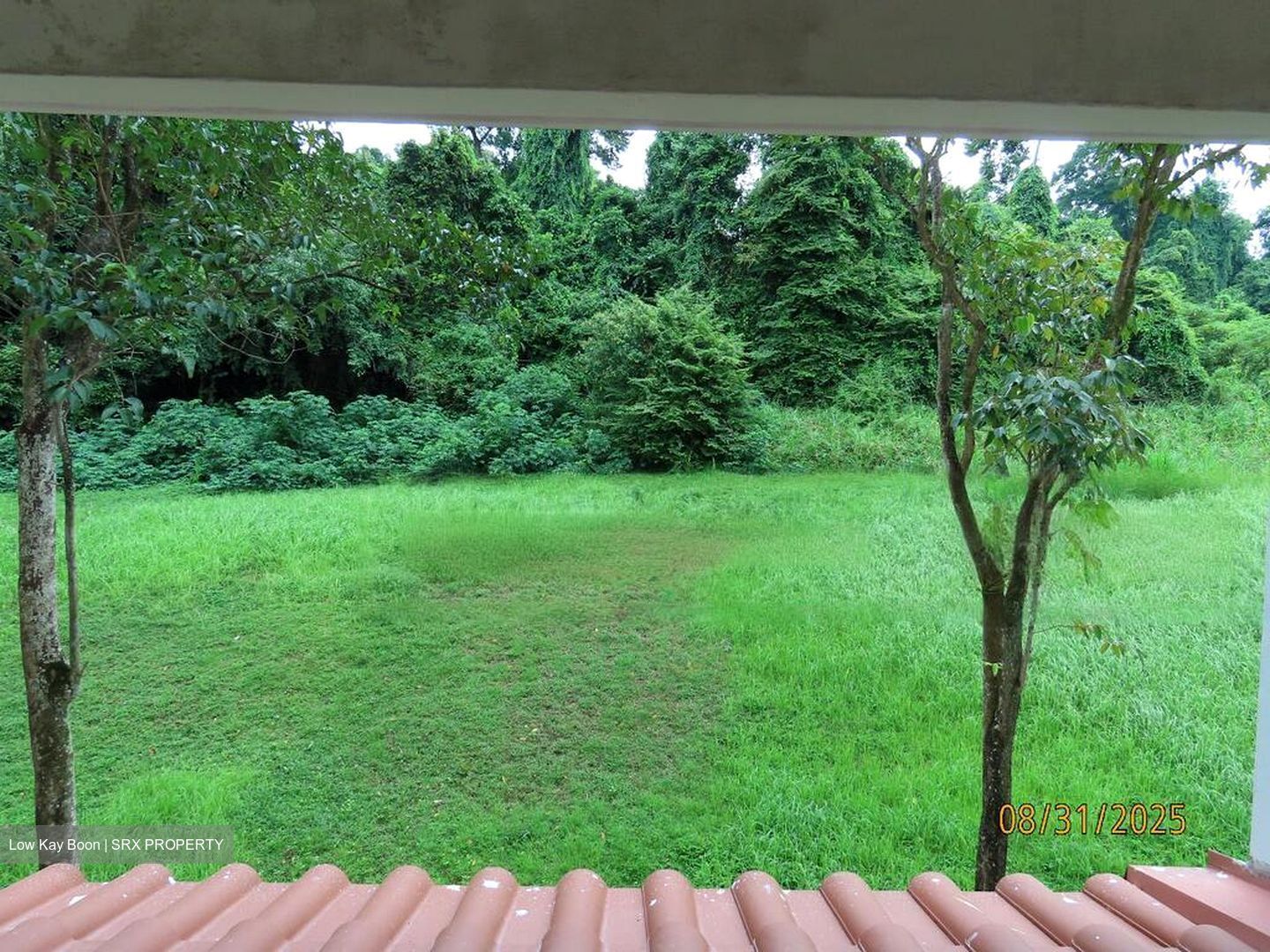 Blk 542 Guilin Breeze (Bukit Batok), HDB Executive #483436131